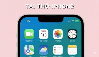 ?362280125db8b3b246048a7ff0203014 (1)