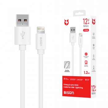 CÁP SẠC CHẬM BISON 12W USB