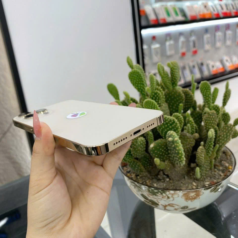 IPHONE 12 PRO MAX 256G