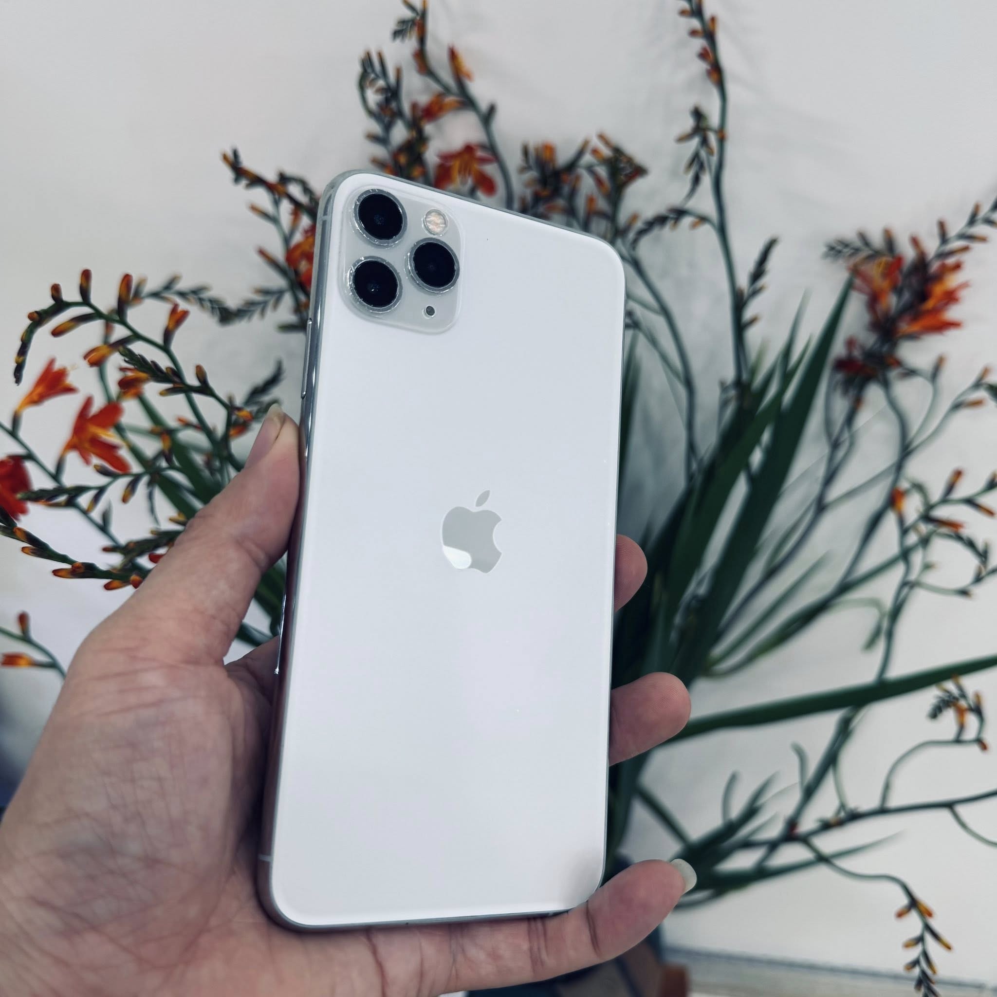 iPhone 11 Promax