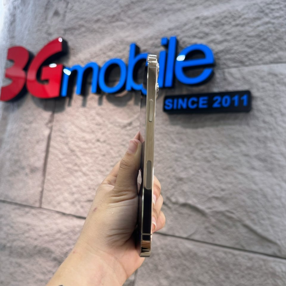 iPhone 12 promax 256G