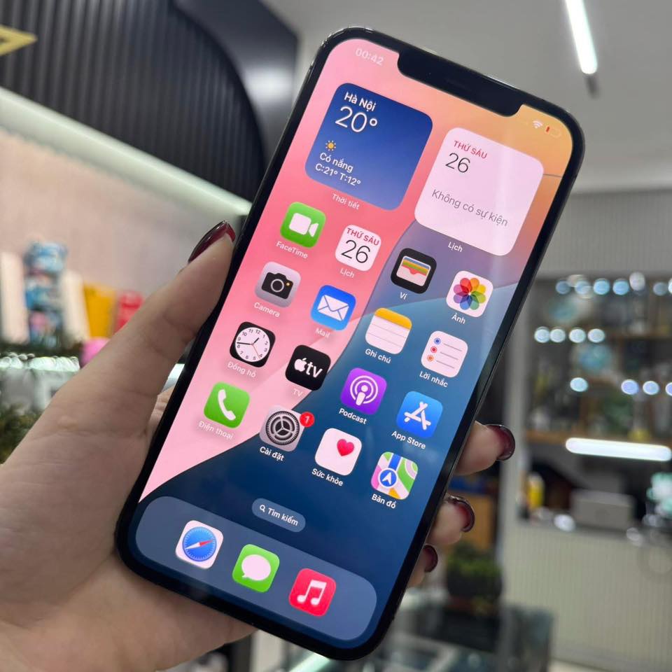 iPhone 12 Promax 128G